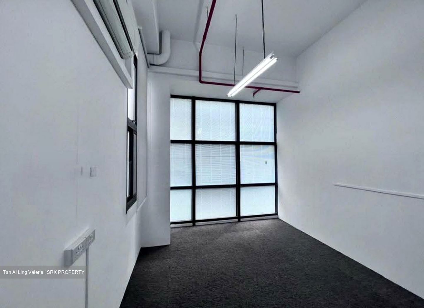 Primz Bizhub (D25), Factory #552504831